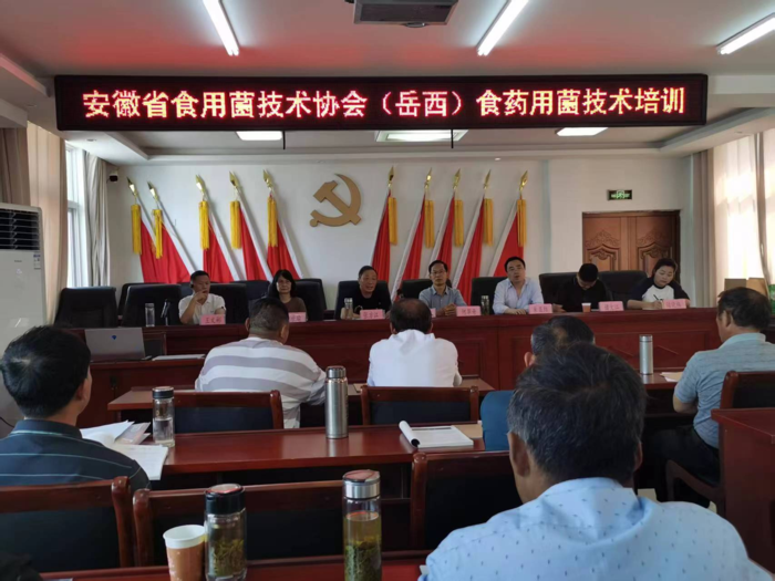 乡村振兴，产业先行——岳西县温泉镇食药用菌技术培训班成功举办